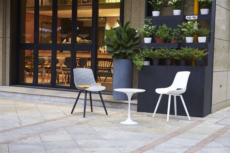 Nòdik style konsepsyon òdinè koulè aplikasyon kontras 台州芽尖 飞越队 林迪迪