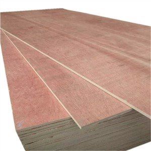 Peye atansyon a imidite-prèv plywood nan tan lapli -- 山东云速网络 --4 组 -- 刘洁